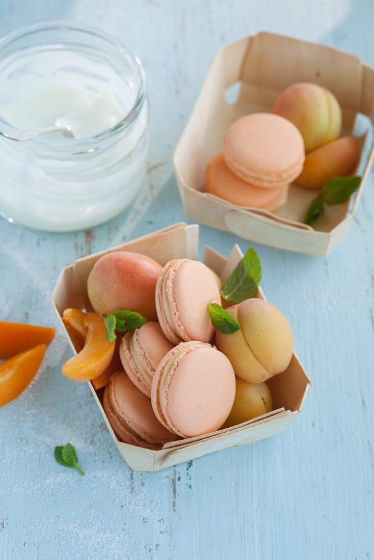 Aprikosen-Joghurt-Macarons