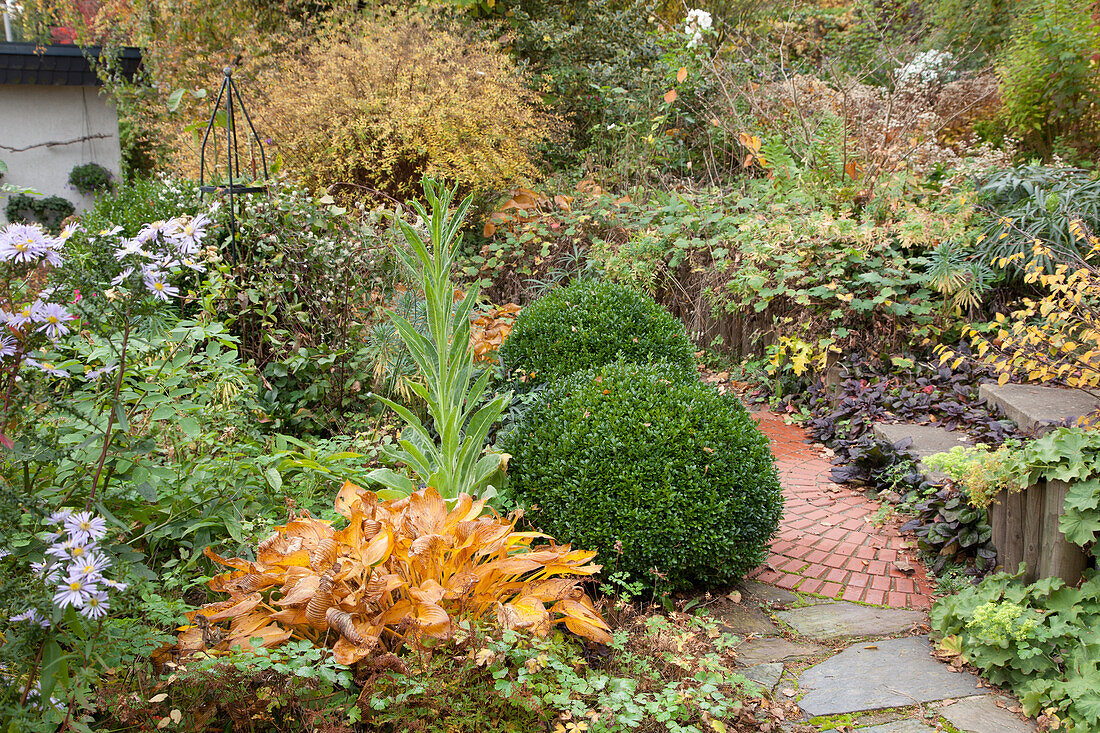 Natursteinweg durch einen herbstlichen Staudengarten