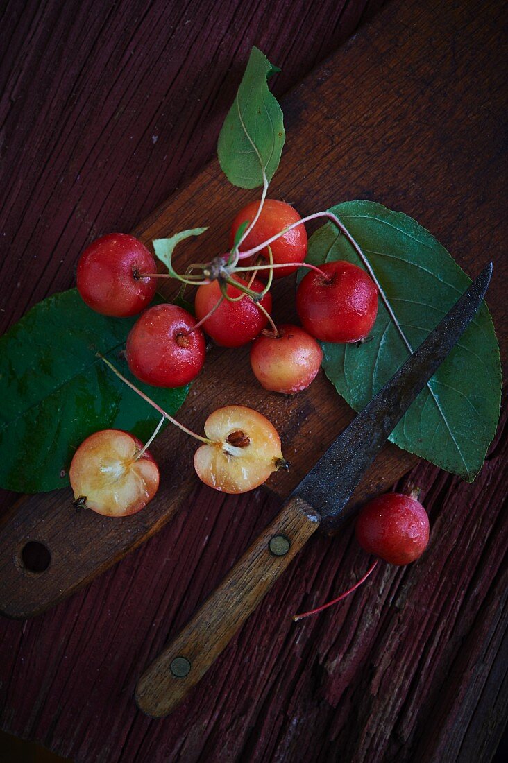 Crab apples with leaves