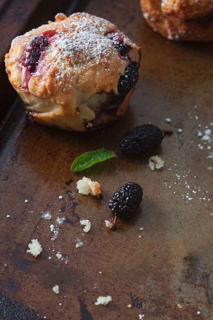 Freshly baked mulberry muffins with icing sugar