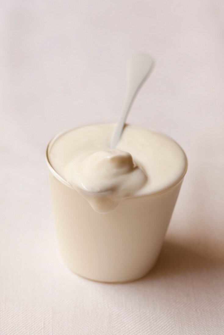 A cup of yoghurt