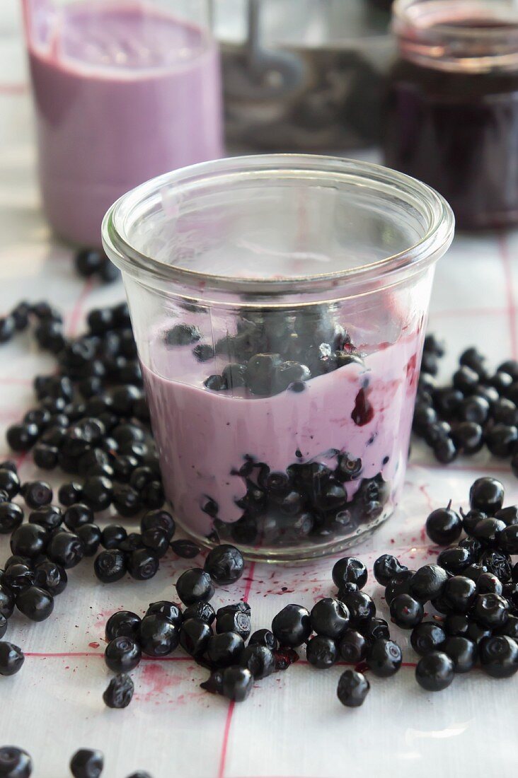 Yoghurt with wild blueberries