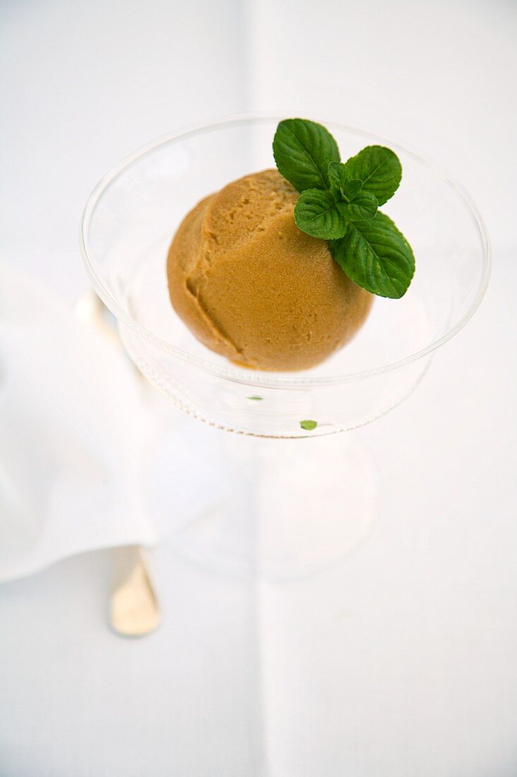 Sorbetto di prugne (Italian damson sorbet)