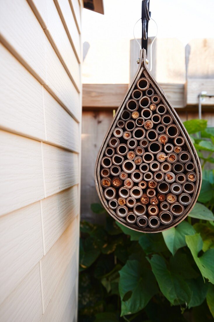 Bug hotel made from hollow bamboo canes in garden