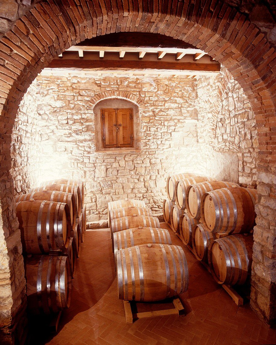 Kleiner Keller mit Eichenfässern für Weißwein,Panzano,Chianti