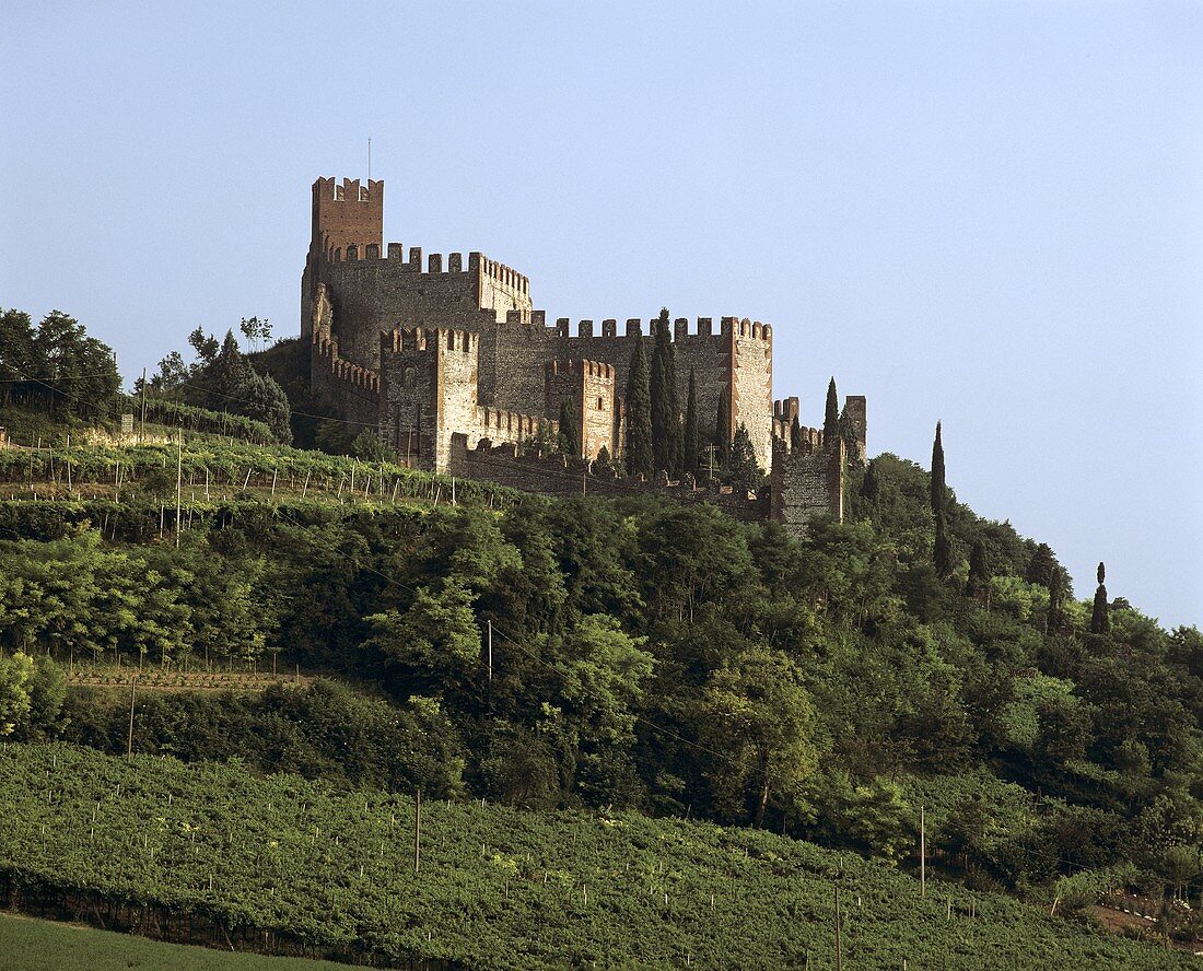 Burg Soave, Wahrzeichen des gleichnamigen Weißweins im Veneto