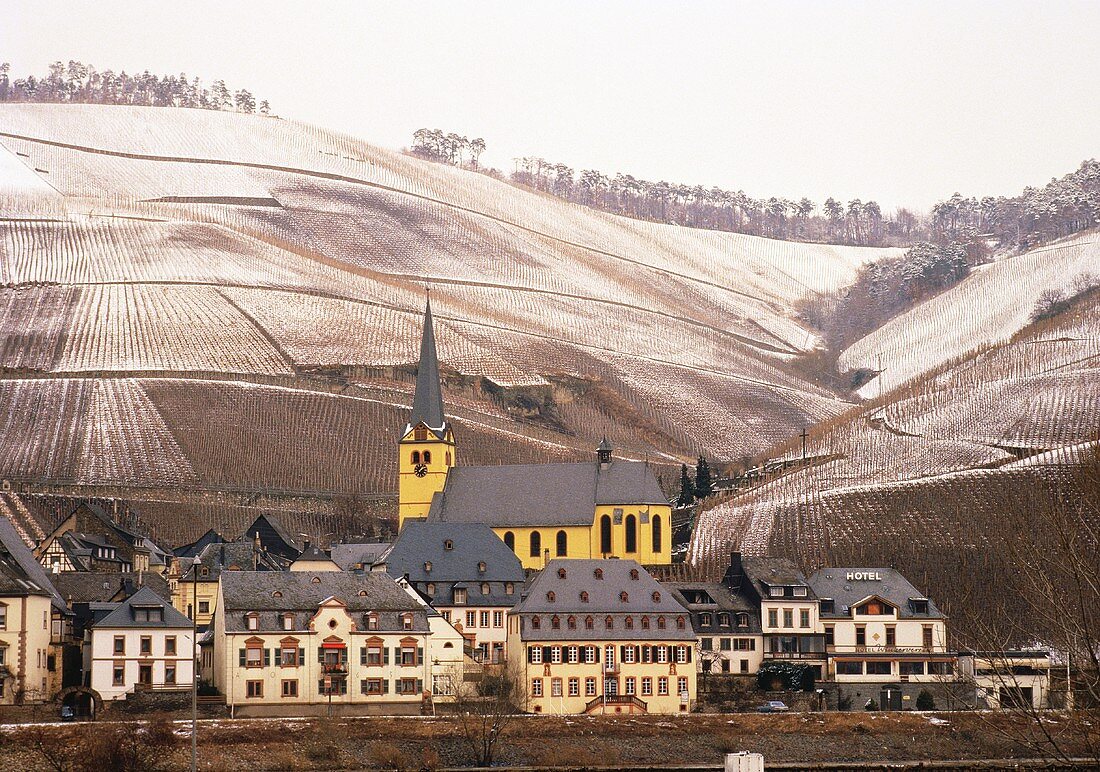 Ort Zeltingen vor seinen winterlichen Weinlagen an der Mosel