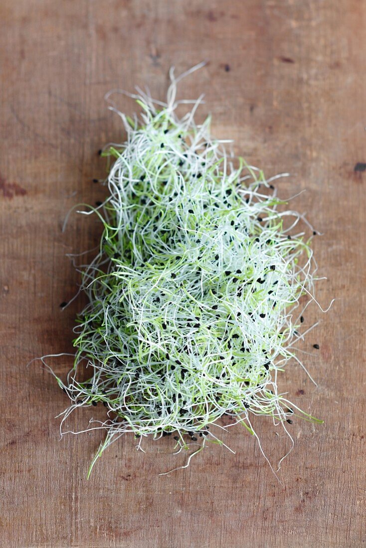Leek sprouts on a wooden surface