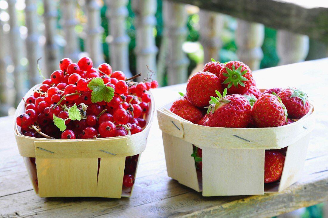 Rote Johannisbeeren und Erdbeeren in Spankörben auf Holztisch