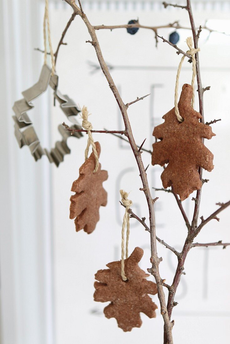 Brown, leaf-shaped shortbread biscuits hanging from branch as autumn decorations