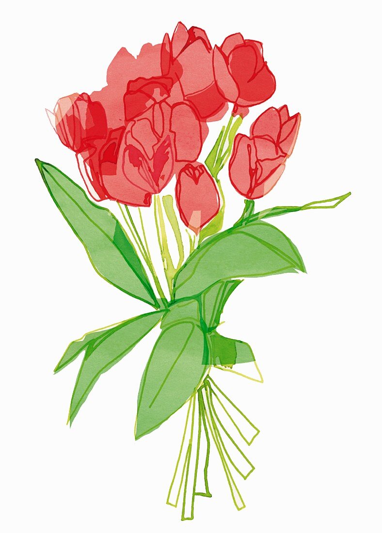 An illustration of a bunch of red tulips