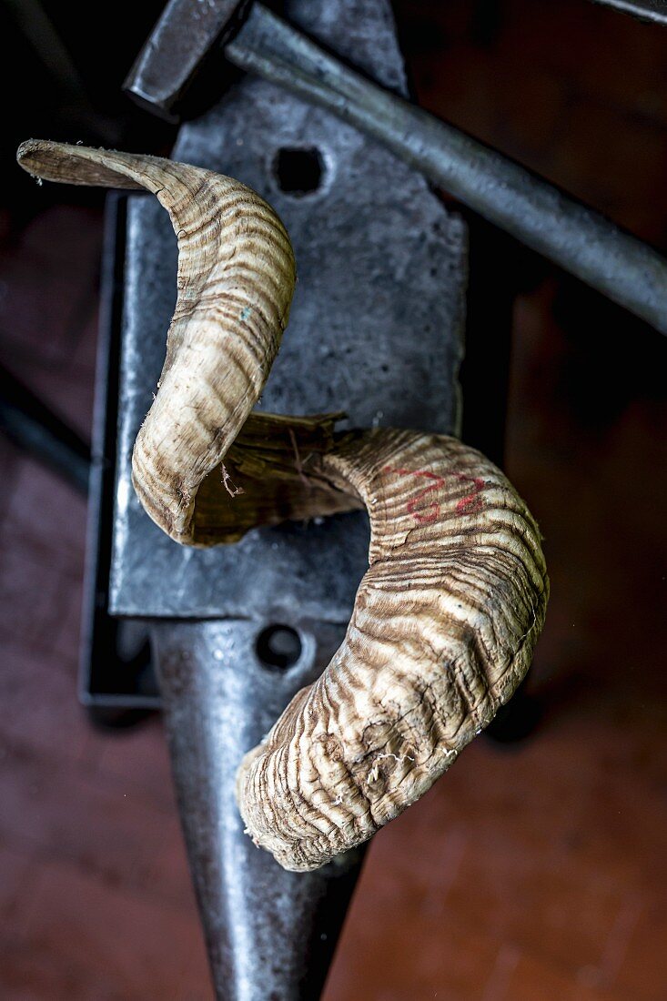 A rams horn and a hammer on an anvil