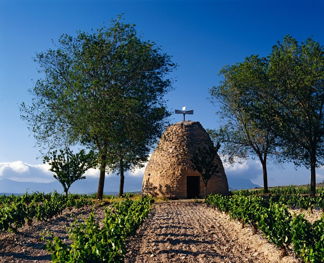Traditioneller Weinkeller bei Oyon, Rioja-Region in Spanien
