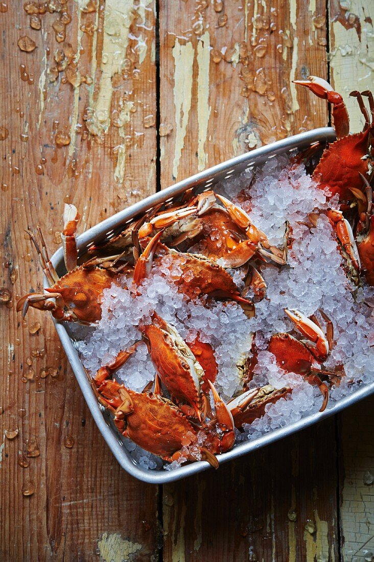 Fresh crabs in a dish on ice (seen from above)