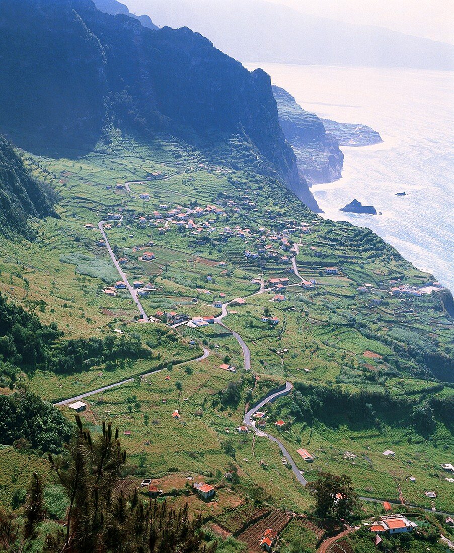 Weinbau bei Santana am Nordufer der Insel Madeira, Portugal