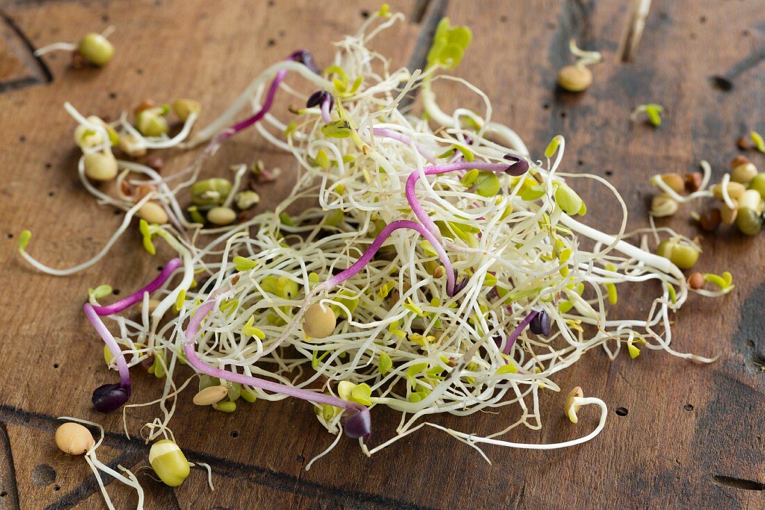 Fresh organic beansprouts (red radish, radish, lentils, mung beans, alfalfa), on an old wooden board