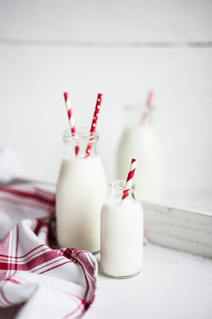 Milchflaschen mit rot gestreiften Strohhalmen auf weißem Holzuntergrund