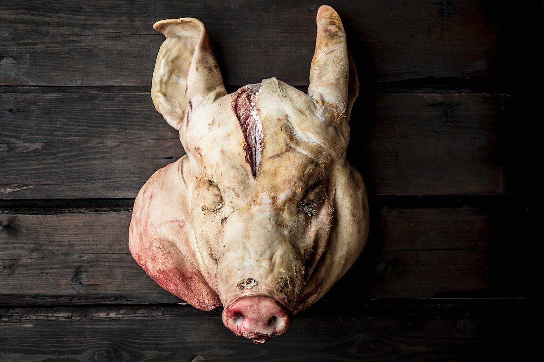 A pig's head on a dark wooden wall