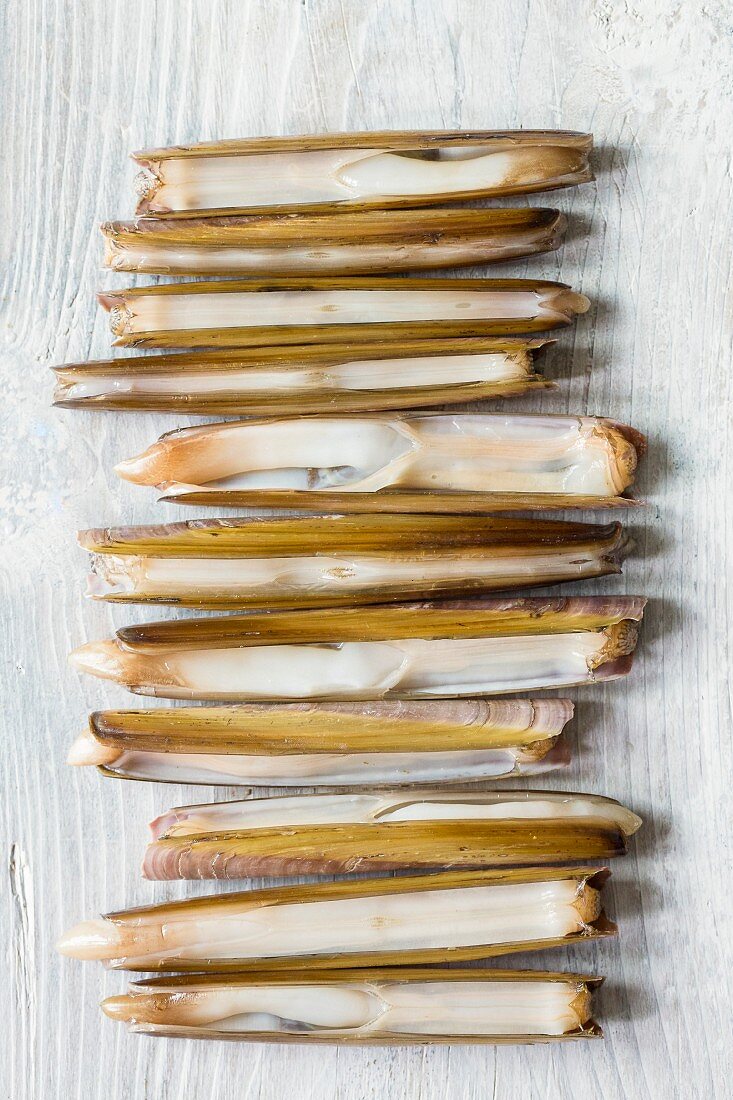 Razor clams on a white wooden table