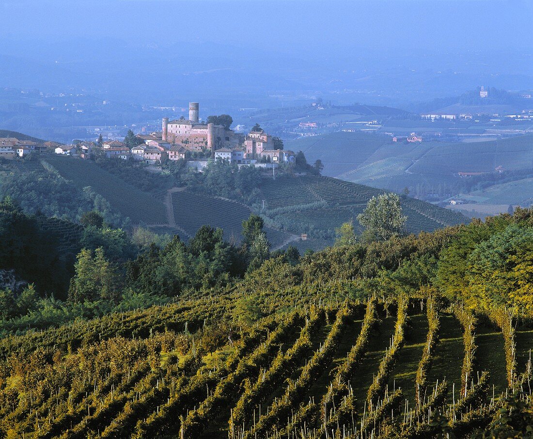 Das Barolo-Dorf Castiglione Falletto in Piemont, Italien
