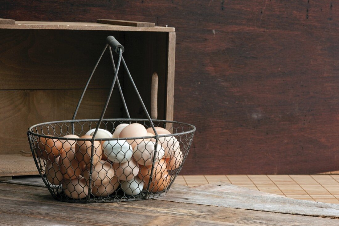 Chicken eggs in a wire basket