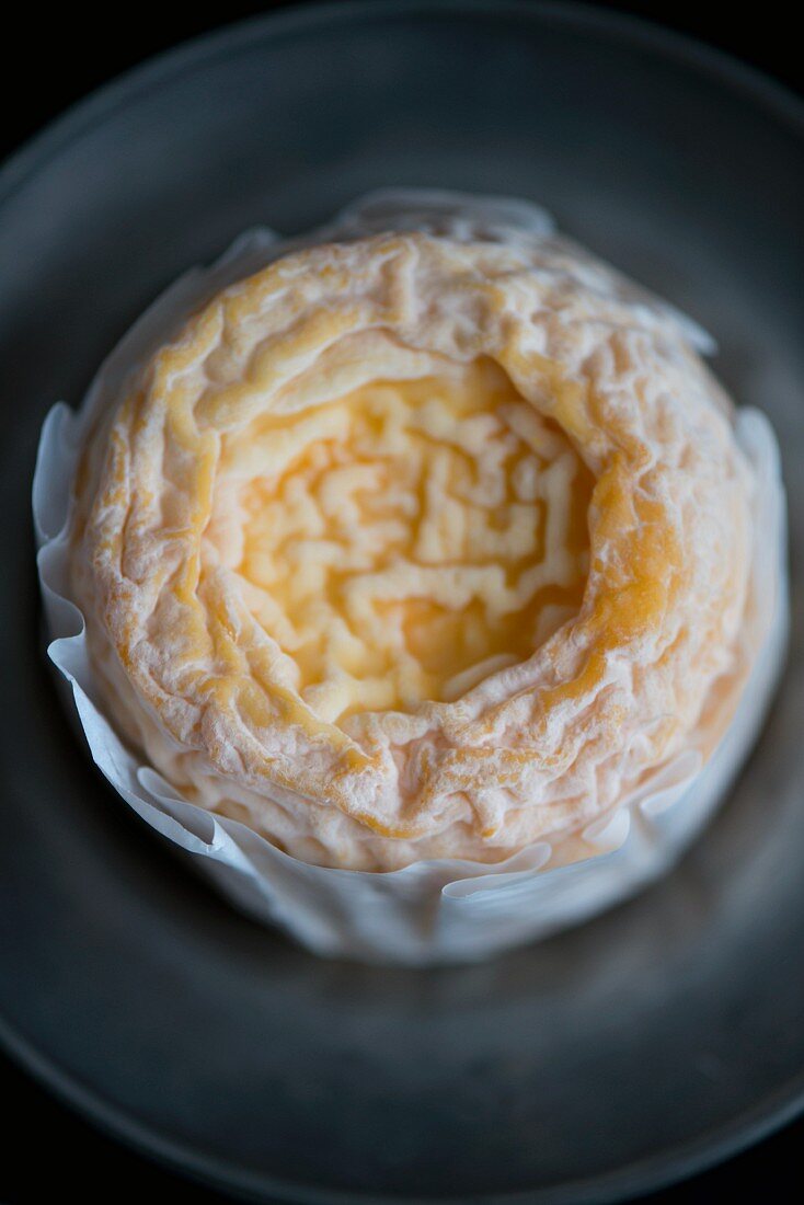 Langres-Käse aus der Region Champagne-Ardenne in Frankreich