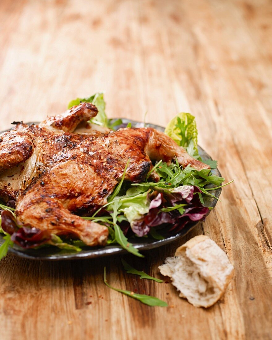 Spicy marinated grilled chicken on a bed of salad