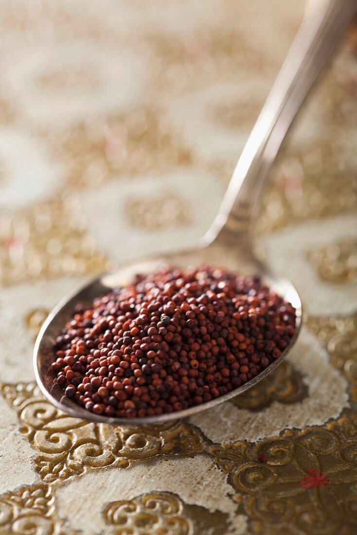 Red quinoa on a spoon
