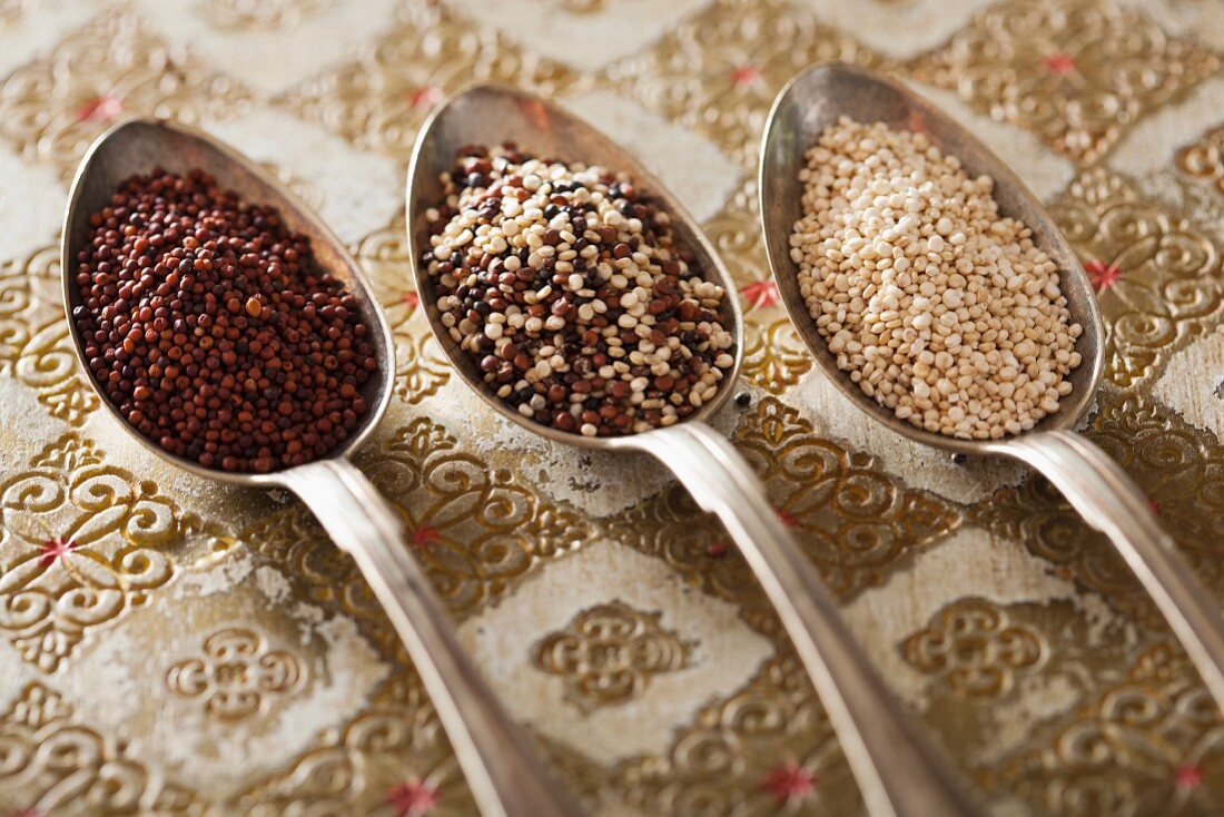 Various types of quinoa on three spoons