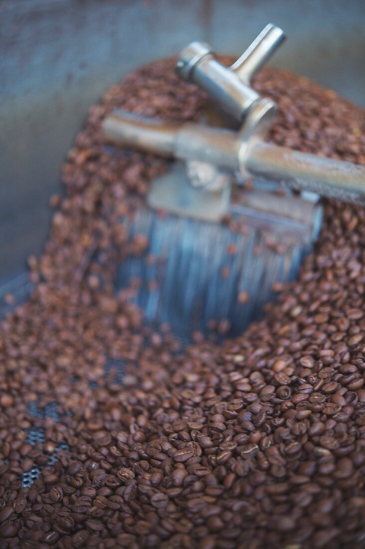 Coffee beans in a roasting drum, roasting house Elbgold in Hamburg