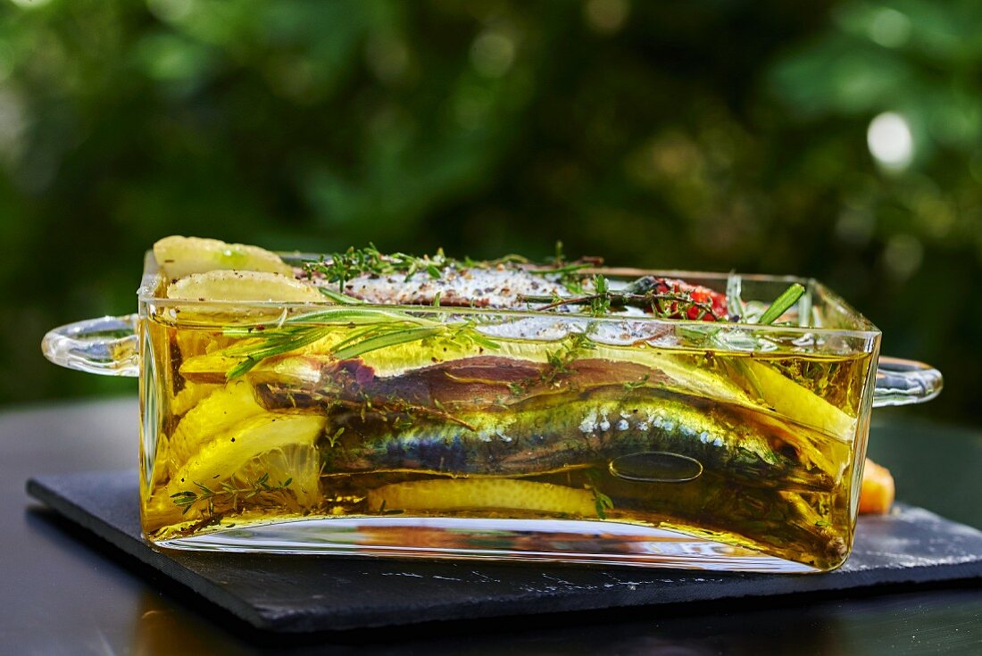 Fischterrine mit Sardinen, frischen Kräutern, Gewürzen und Zitrone