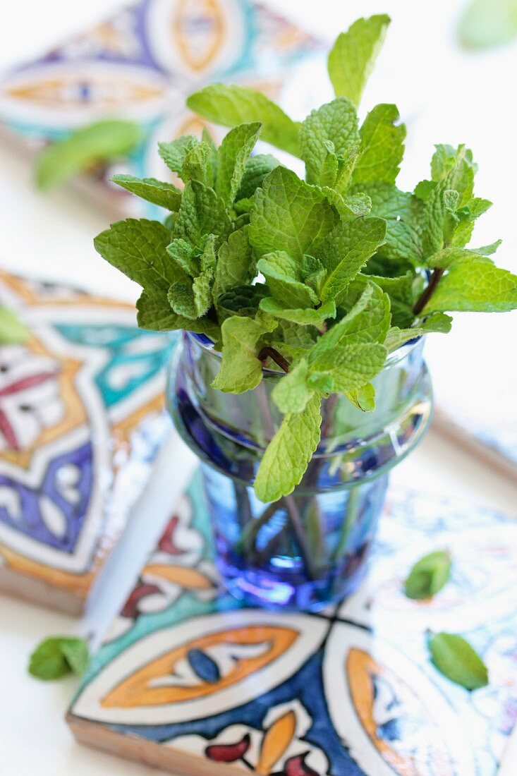 A bunch of peppermint in a glass vase on Moroccan ceramic tiles