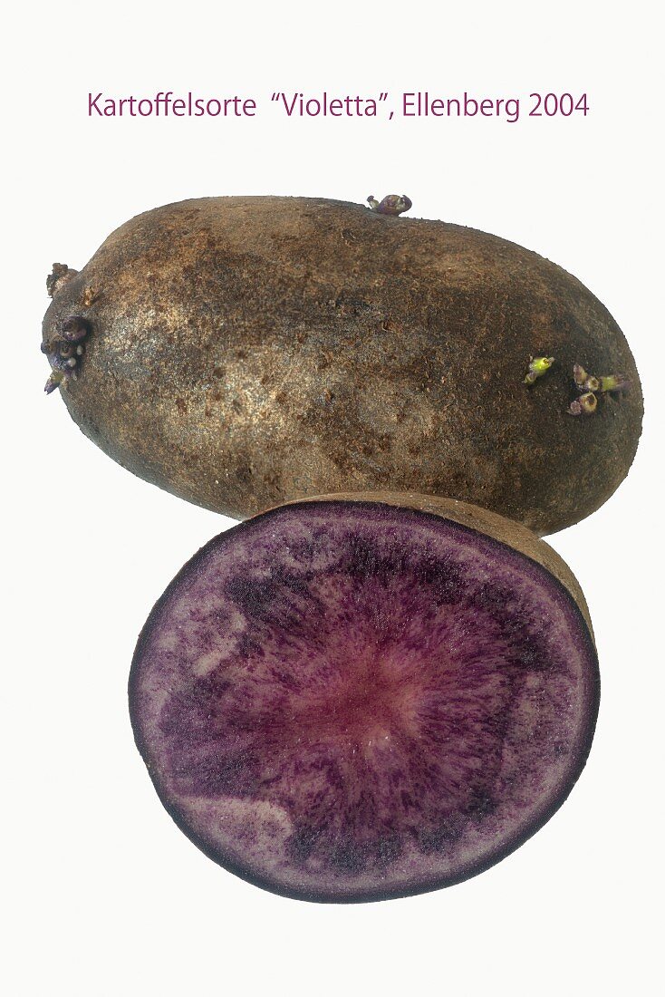Kartoffeln der Sorte Violetta, ganz und halbiert