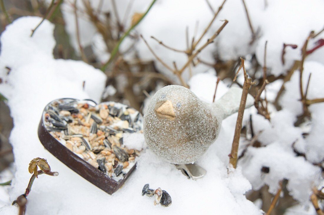 Heart-shaped pastry cutter filled with bird cake and bird ornament in snow