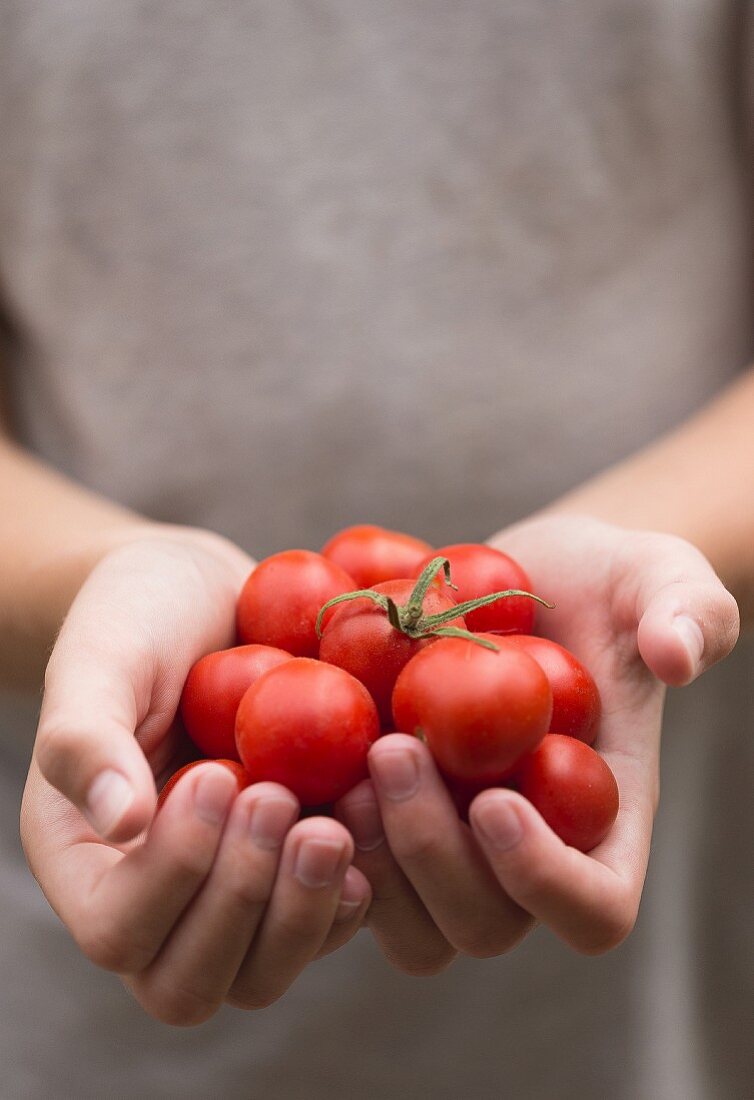 Hands holding fresh tomatoes