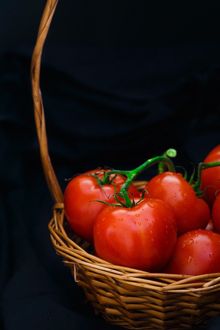 Fresh tomatoes in a basket against a black background