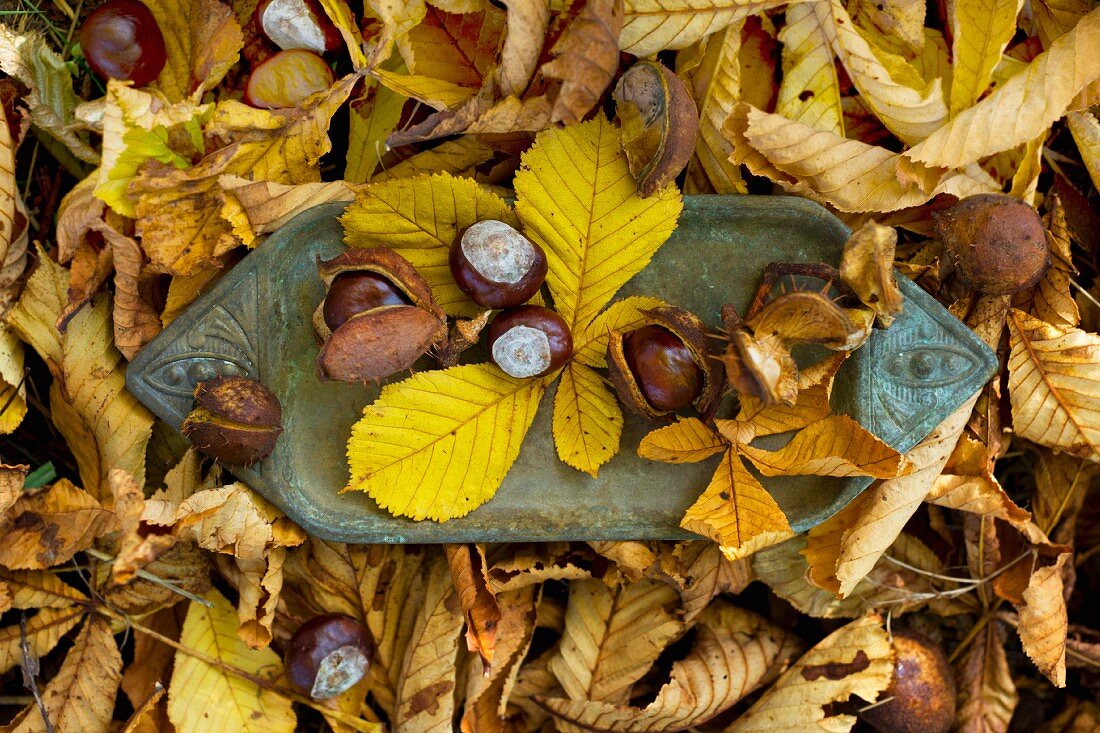 Oxidierte Kupferschale mit Kastanien und herbstlichem Kastanienlaub