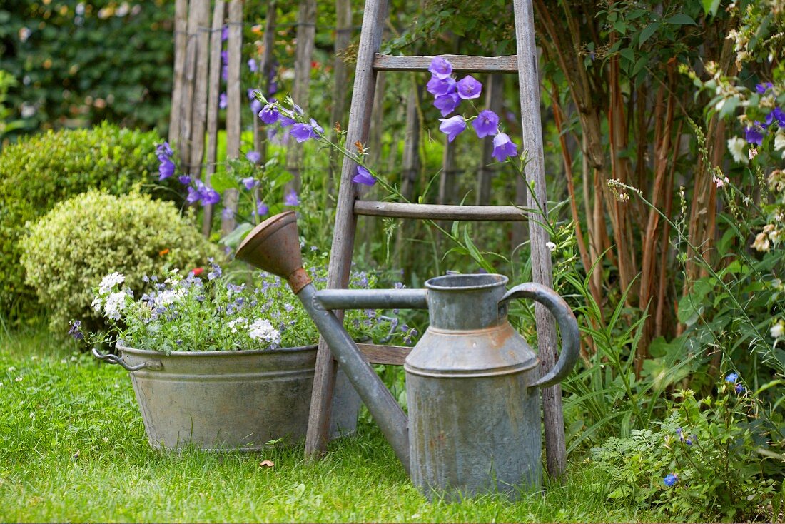 Alte Zinkgiesskanne und bepflanzte Zinkwanne im Garten