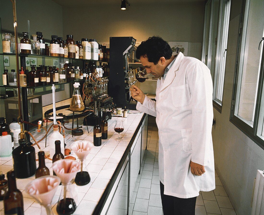 Lorenzo Tablino im Labor des Weingutes Fontanafredda, Piemont