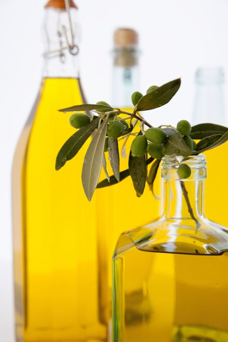 A sprig of olives in a bottle of olive oil