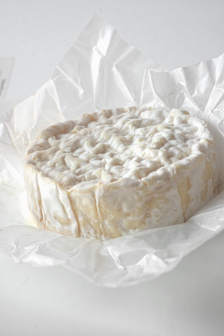 Camembert from Normandy