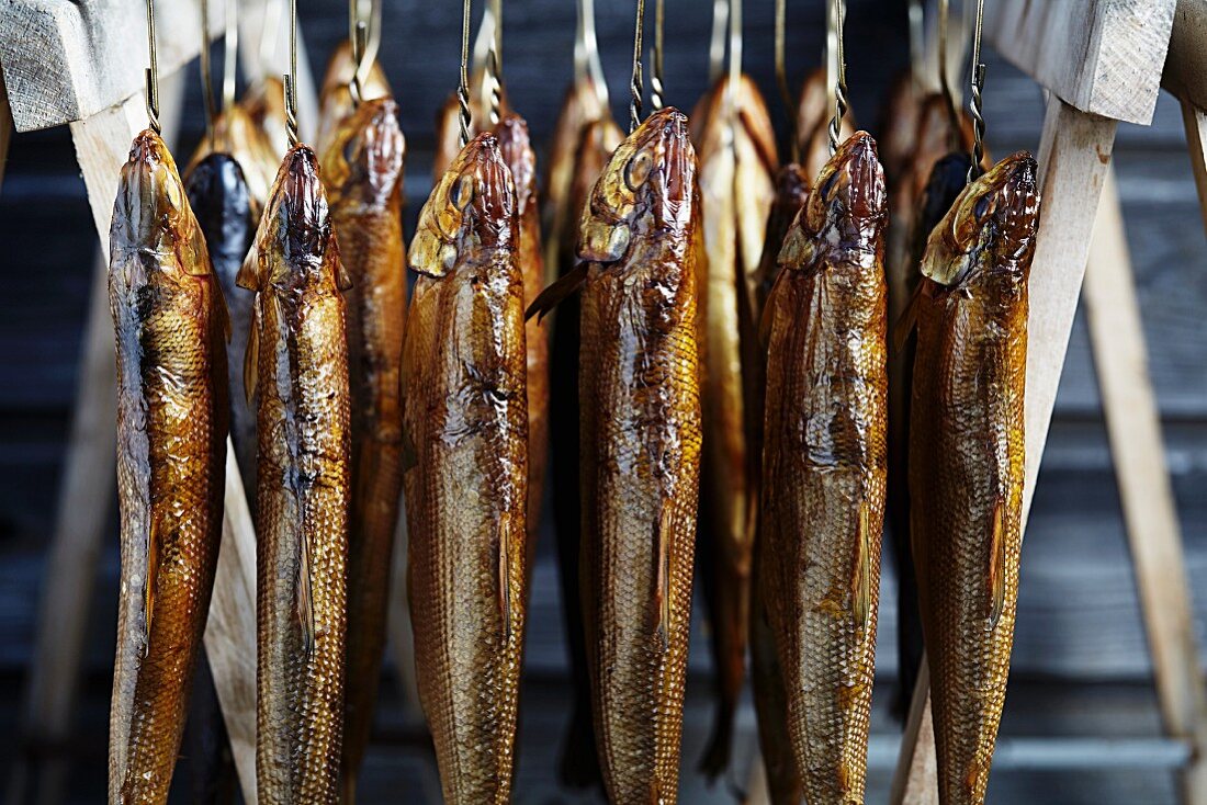 Smoked whitefish