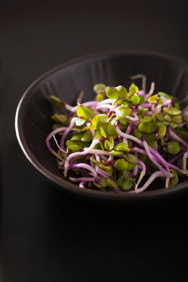 A bowl of China rose sprouts