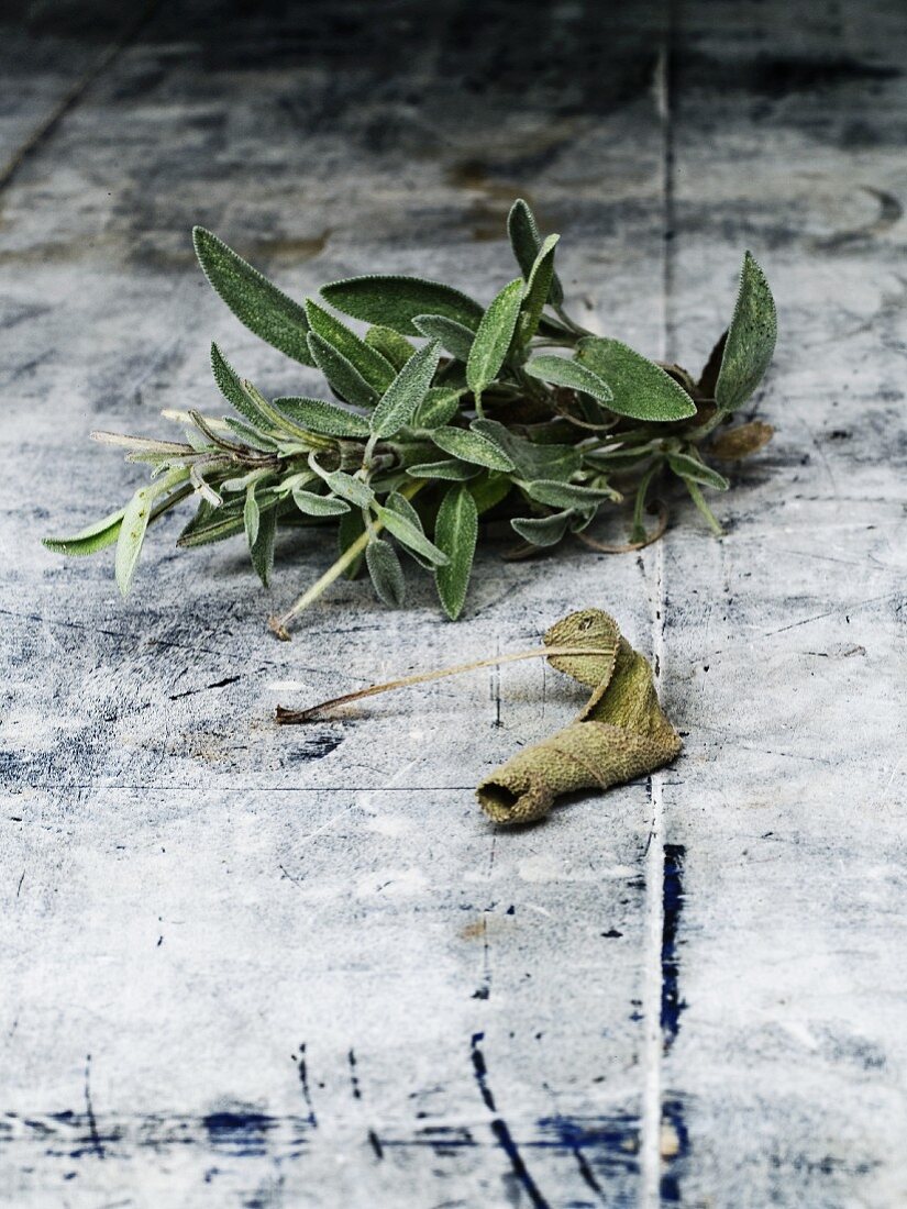 Sage, fresh and dried, on light wood