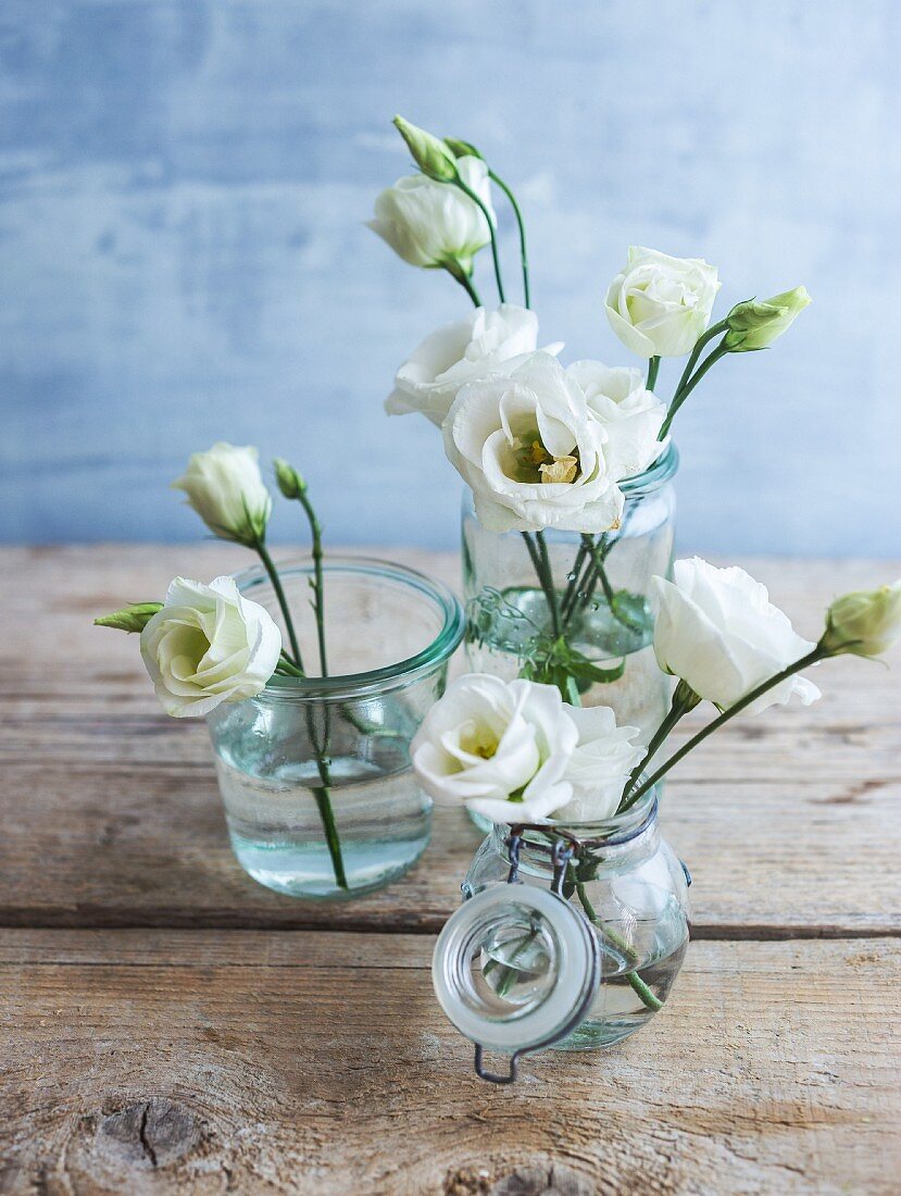 White flowers in vintage jars