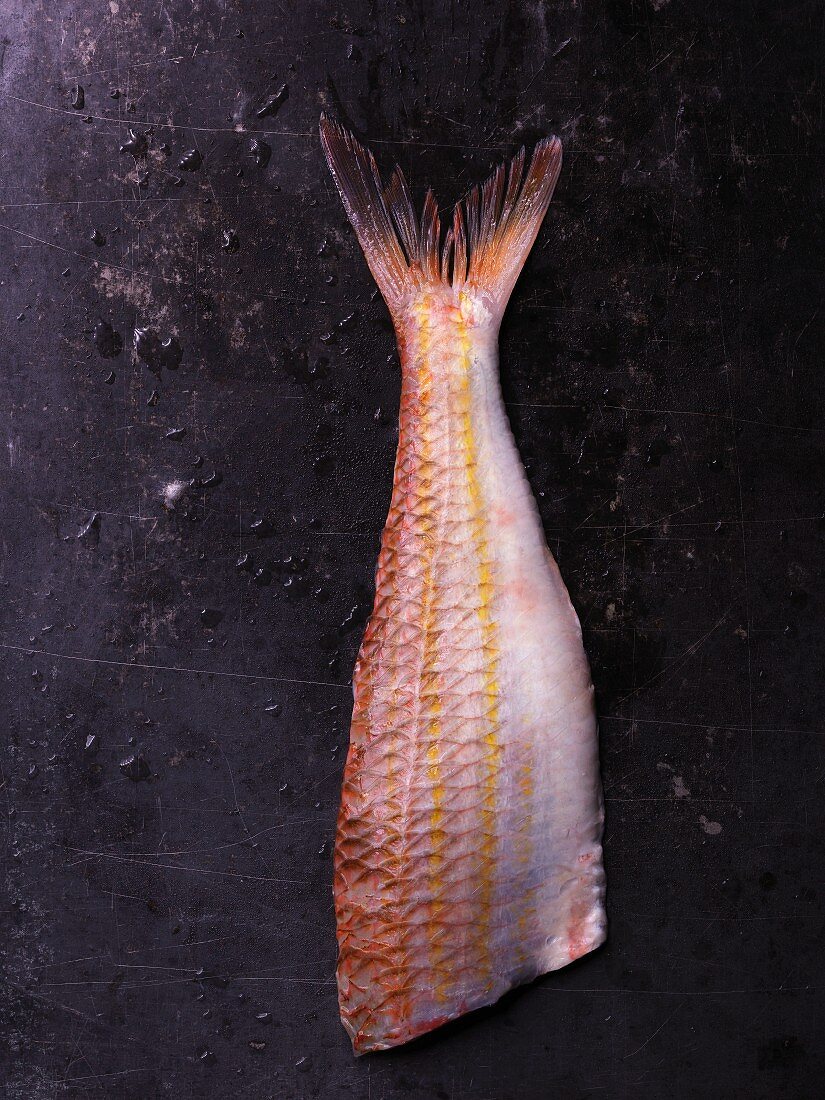 Red mullet on a dark background