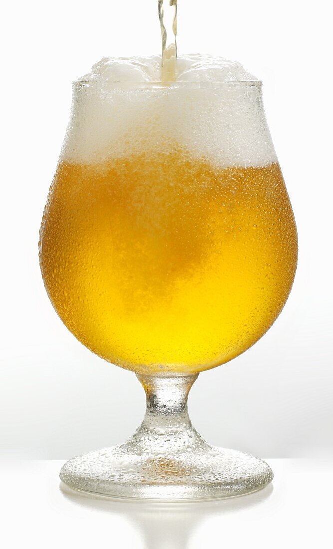 A beer being poured into a Pils glass
