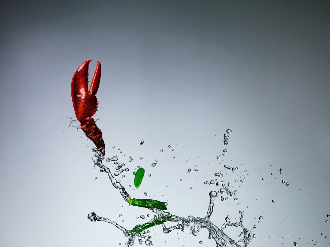A lobster claw and mange tout with a splash of water
