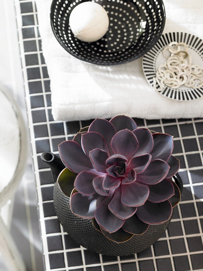 Succulent planted in teapot next to bowls holding jewellery and bath bomb