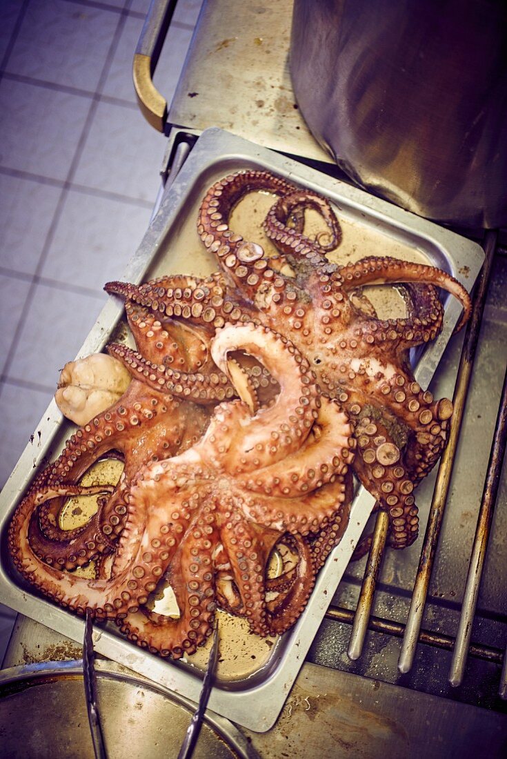 Oktopus auf Backblech in Grossküche